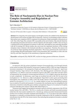 The Role of Nucleoporin Elys in Nuclear Pore Complex Assembly and Regulation of Genome Architecture