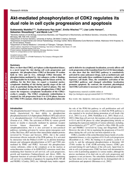 Akt-Mediated Phosphorylation of CDK2 Regulates Its Dual Role in Cell Cycle Progression and Apoptosis