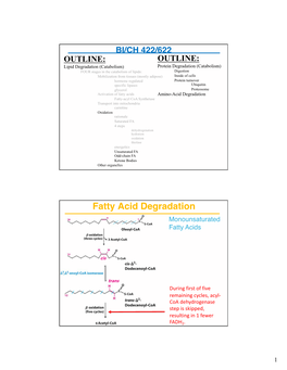 Fatty Acid Degradation Monounsaturated Fatty Acids