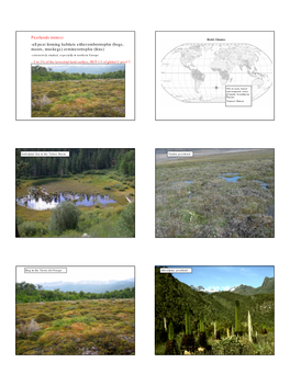 Peatlands (Mires) -All Peat Forming Habitats Eitherombrotrophic (Bogs, Moors, Muskegs) Orminerotrophic (Fens) - Extensively Studied, Especially in Northern Europe