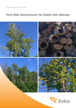 Pest Risk Assessment for Dutch Elm Disease