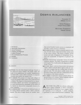 2. Debris Avalanches