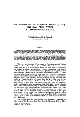 The Development of Conopeum Seurati (Canu), and Some Other Species of Membraniporine Polyzoa