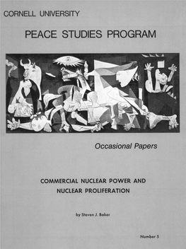 Peace Studies Program