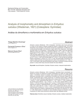 Analysis of Morphometry and Dimorphism in Enhydrus Sulcatus (Wiedeman, 1821) (Coleoptera: Gyrinidae)