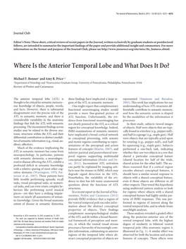 Where Is the Anterior Temporal Lobe and What Does It Do?