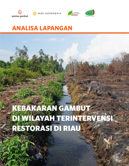Kebakaran Gambut Di Wilayah Terintervensi Restorasi Di Riau