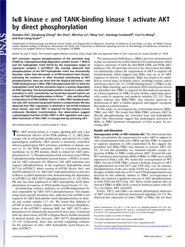 Iκb Kinase Ε and TANK-Binding Kinase 1 Activate AKT by Direct Phosphorylation