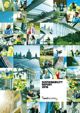 SUSTAINABILITY REPORT 2016 Progress Commitments