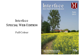 Interface SPECIAL WEB EDITION