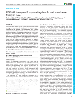 RSPH6A Is Required for Sperm Flagellum Formation and Male