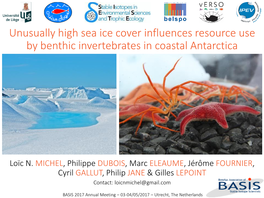 Unusually High Sea Ice Cover Influences Resource Use by Benthic Invertebrates in Coastal Antarctica