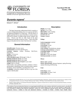 Duranta Repens1