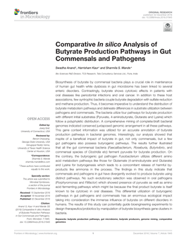 Comparative in Silico Analysis of Butyrate Production Pathways in Gut Commensals and Pathogens