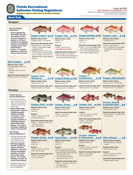 Florida Recreational Saltwater Fishing Regulations
