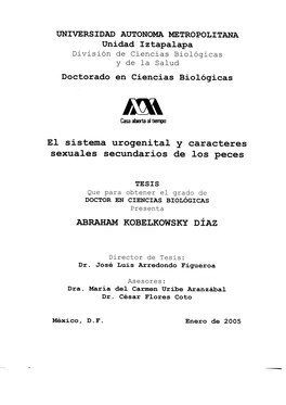 Testículos Y Del Sistema De Conductos Urogenitales, Encontrándose Una Mayor Diversidad En Los Teleostei