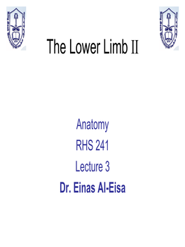 The Lower Limb II