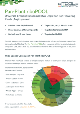 Pan-Plant Ribopool Universal, Eﬃcient Ribosomal RNA Depletion for Flowering Plants (Angiosperms)