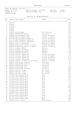 Vdoprint Document