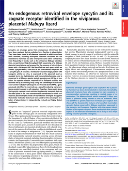 An Endogenous Retroviral Envelope Syncytin and Its Cognate Receptor Identified in the Viviparous Placental Mabuya Lizard