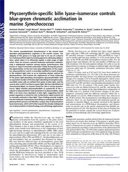 Phycoerythrin-Specific Bilin Lyase–Isomerase Controls Blue-Green