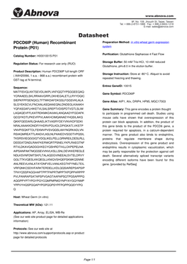 PDCD6IP (Human) Recombinant Protein (P01)