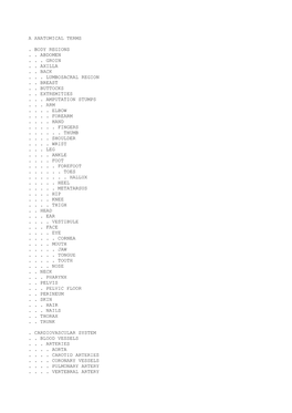 A Anatomical Terms . Body Regions . . Abdomen . . . Groin