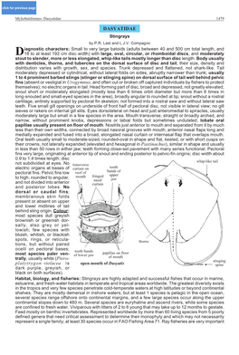 Dasyatidae 1479