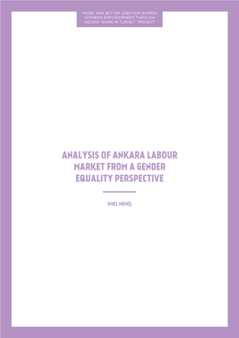 Analysis of Ankara Labour Market from a Gender Equality Perspective