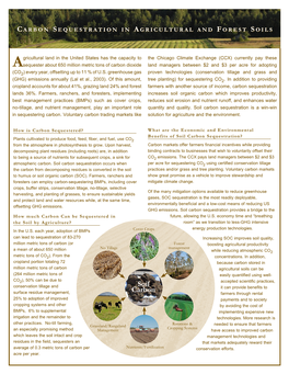 Soil Carbon Sequestration Is a Win-Win in Sequestering Carbon