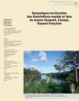 Dynamiques Territoriales Des Amérindiens Wayãpi Et Teko Du Moyen Oyapock, Camopi, Guyane Française