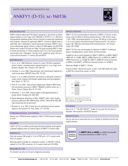 Datasheet Blank Template