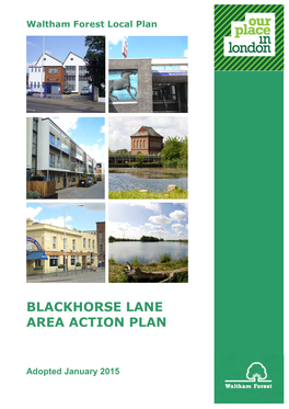 Blackhorse Lane AAP Adoption Version