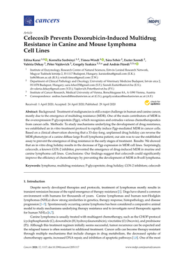 Celecoxib Prevents Doxorubicin-Induced Multidrug Resistance in Canine and Mouse Lymphoma Cell Lines