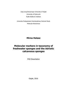 Molecular Markers in Taxonomy of Freshwater Sponges and the Adriatic Calcareous Sponges