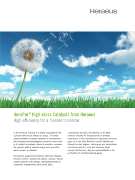 Herapur® High-Class Catalysts from Heraeus High Efficiency for a Cleaner Tomorrow