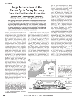 Large Perturbations of the Carbon Cycle During Recovery from The