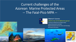 Marine Protected Areas in the Azores – the Case