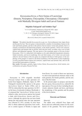 Insecta, Neuroptera, Chrysopidae, Chrysopinae, Chrysopini) with Markedly Divergent Adult and Larval Features