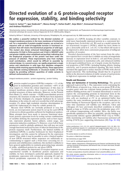 Directed Evolution of a G Protein-Coupled Receptor for Expression, Stability, and Binding Selectivity