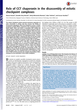 Role of CCT Chaperonin in the Disassembly of Mitotic Checkpoint Complexes