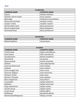 Birds Accipitridae COMMON NAME SCIENTIFIC NAME Osprey Pandion