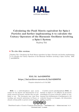 Calculating the Pauli Matrix Equivalent for Spin-1 Particles and Further