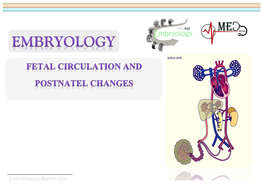 Embryology$VV@Gmail.Com