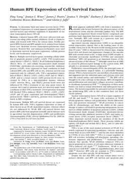 Human RPE Expression of Cell Survival Factors