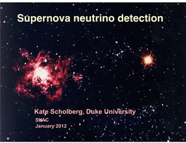 Supernova Neutrino Detection 