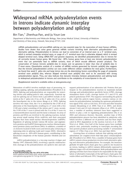 Widespread Mrna Polyadenylation Events in Introns Indicate Dynamic Interplay Between Polyadenylation and Splicing