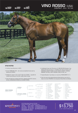 Stallion Brochure