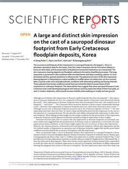 A Large and Distinct Skin Impression on the Cast of a Sauropod Dinosaur