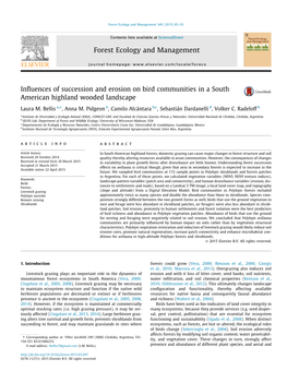 Influences of Succession and Erosion on Bird Communities in a South